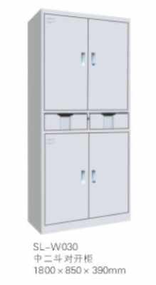 清远地区档案柜与文件柜选购指南及价格分析